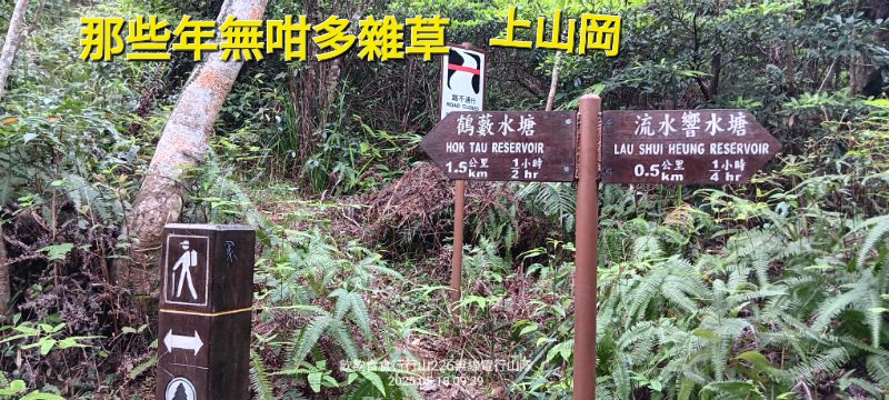 IMG_20250518_48178.jpg