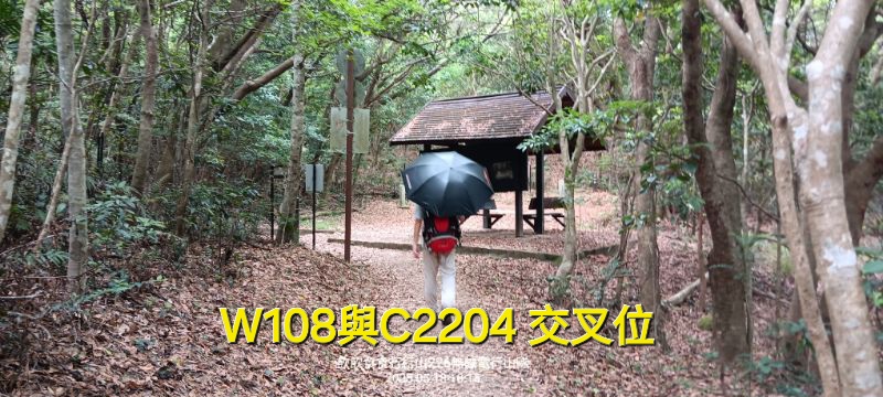 IMG_20250518_44278.jpg