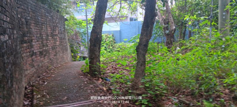 IMG_20250518_29919.jpg