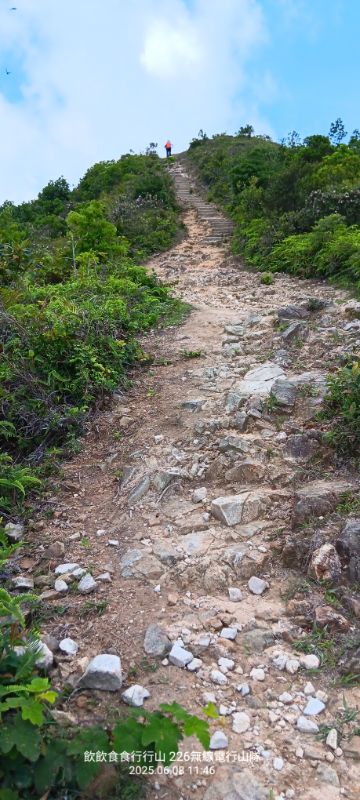 IMG_20250614_16499.jpg
