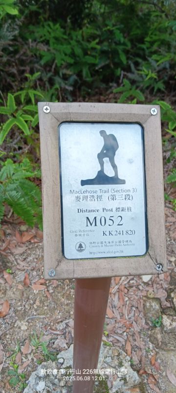 IMG_20250614_15624.jpg