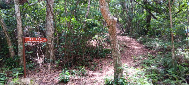 IMG_20250614_15349.jpg