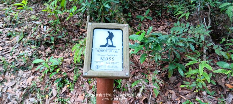 IMG_20250614_14781.jpg