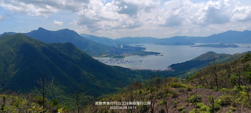 IMG_20250614_13349.jpg