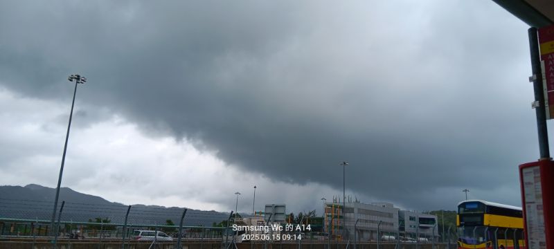 IMG_20250615_1562.jpg