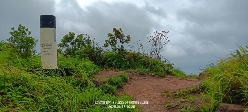 IMG_20250616_58130.jpg