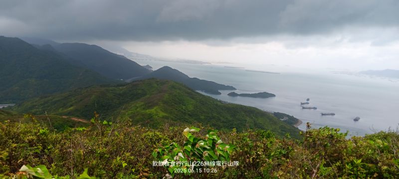 IMG_20250616_57630.jpg