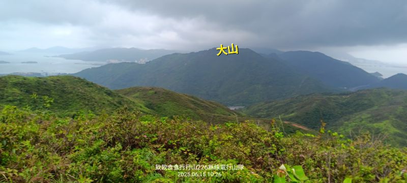 IMG_20250616_57383.jpg
