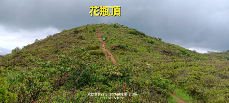 IMG_20250616_56375.jpg