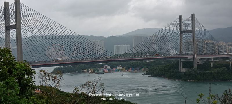 IMG_20250616_51351.jpg
