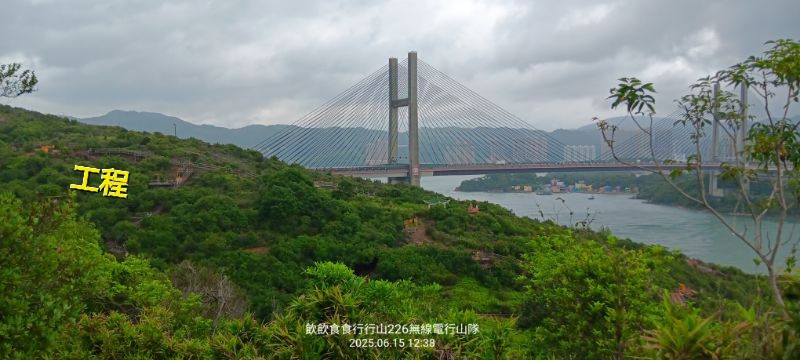 IMG_20250616_50642.jpg