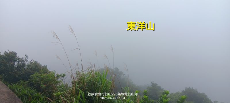 IMG_20250629_38925.jpg