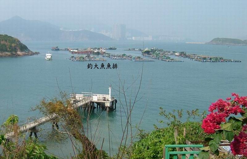 東龍島釣大魚.jpg