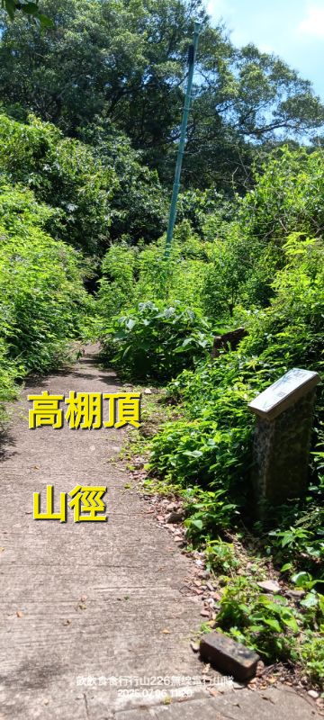 IMG_20250708_0162.jpg