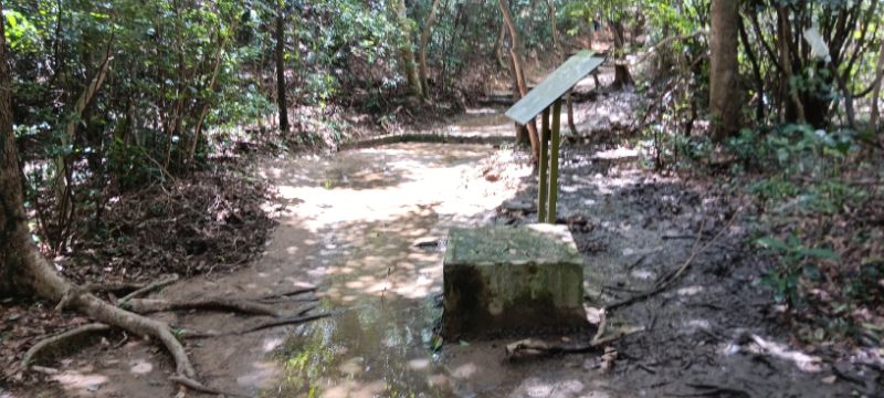 IMG_20250906_14231.jpg