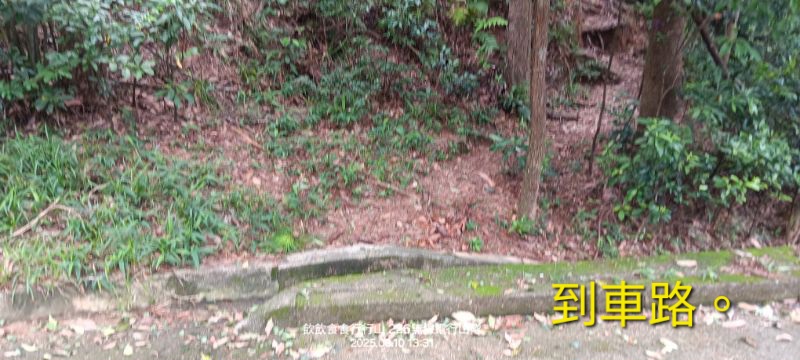 IMG_20250906_11159.jpg