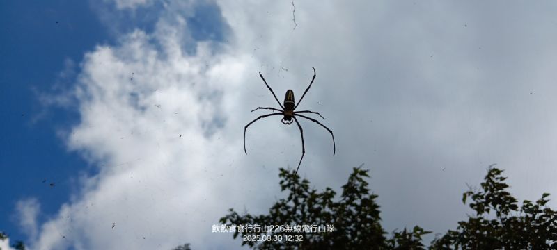 IMG_20250906_28355.jpg