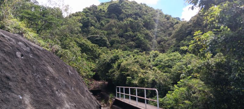 IMG_20250909_34573.jpg