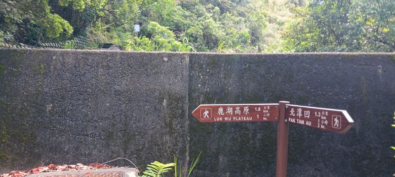 IMG_20250909_34306.jpg
