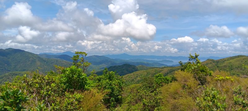 IMG_20250909_33729.jpg