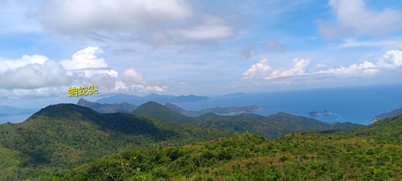 IMG_20250909_33142.jpg