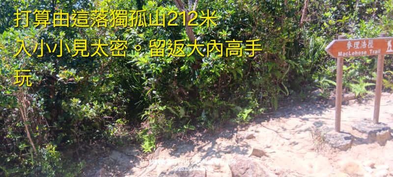 IMG_20250925_18740.jpg