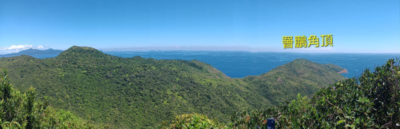 IMG_20250925_16741.jpg