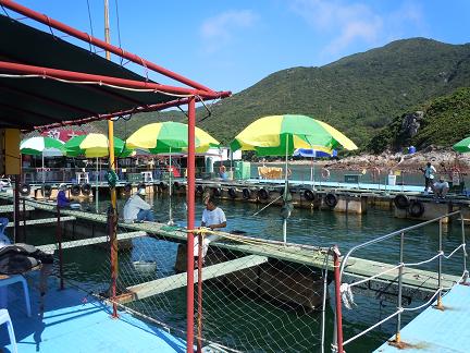 DSCN4195.JPG