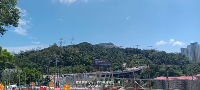 IMG_20251009_57354.jpg