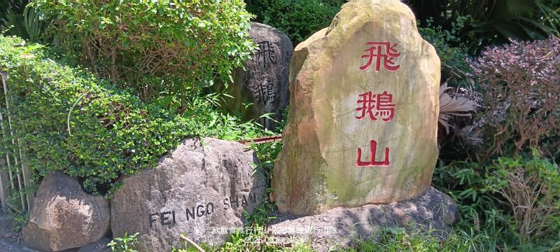 IMG_20251009_57169.jpg