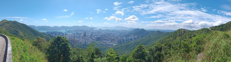 IMG_20251009_47295.jpg
