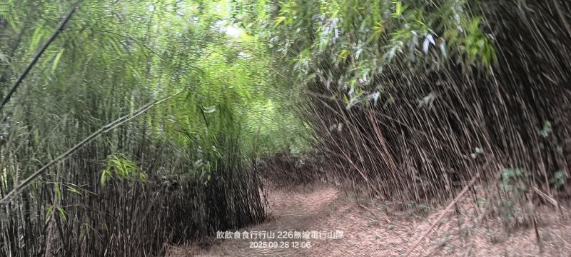 IMG_20251013_31187.jpg
