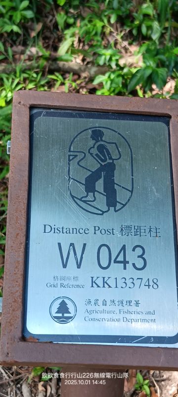 IMG_20251015_48593.jpg