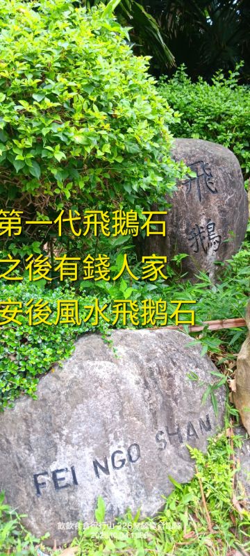 IMG_20251015_56470.jpg