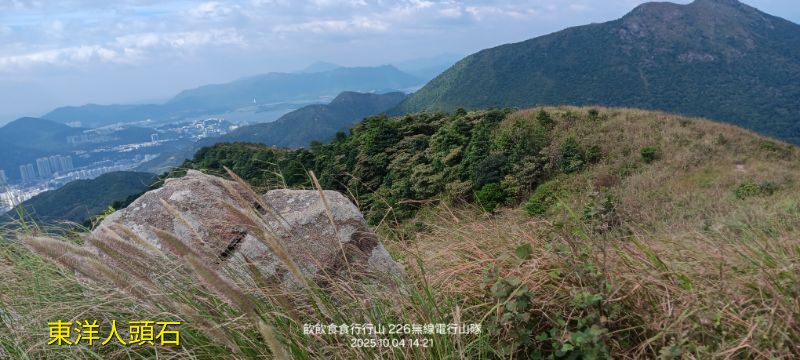 IMG_20251015_51711.jpg