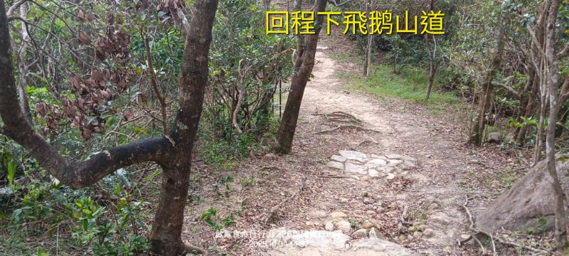 IMG_20251015_50882.jpg