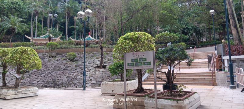 IMG_20251018_58114.jpg
