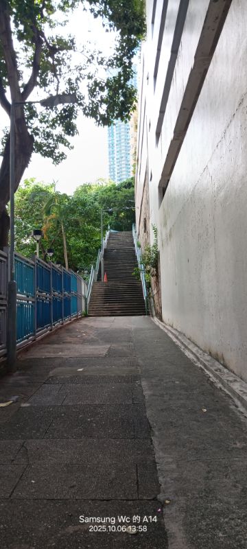 IMG_20251018_54873.jpg