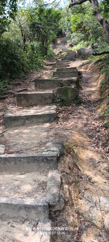 IMG_20251018_25175.jpg