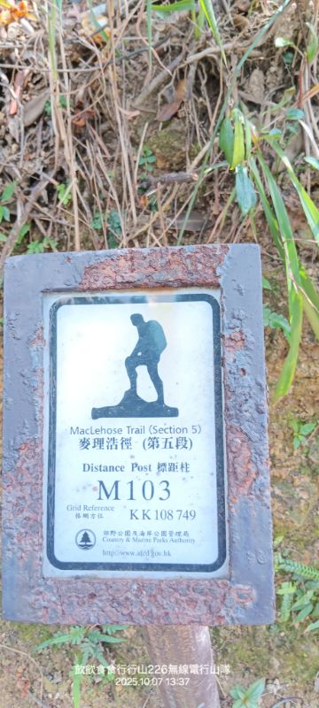 IMG_20251018_24688.jpg