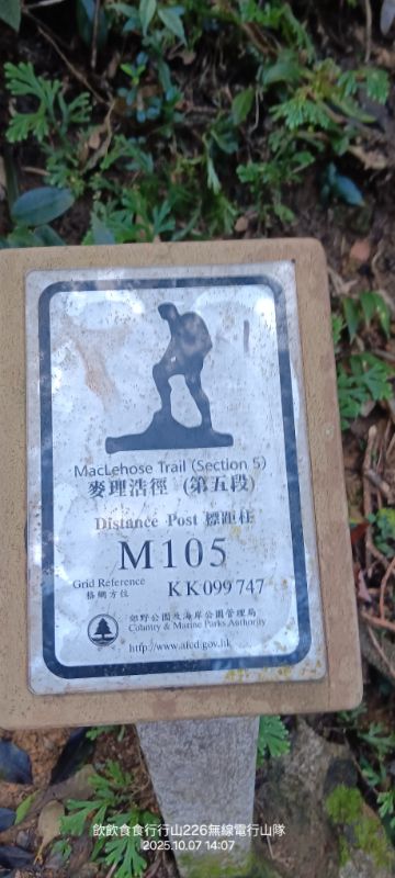 IMG_20251018_23730.jpg