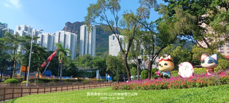 IMG_20251018_21519.jpg
