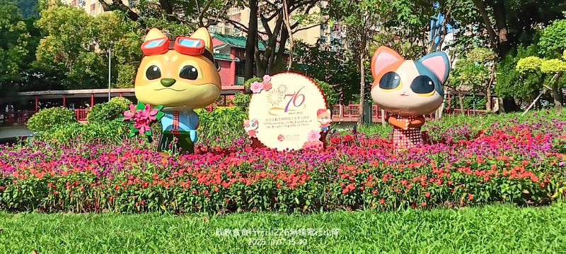 IMG_20251018_21317.jpg