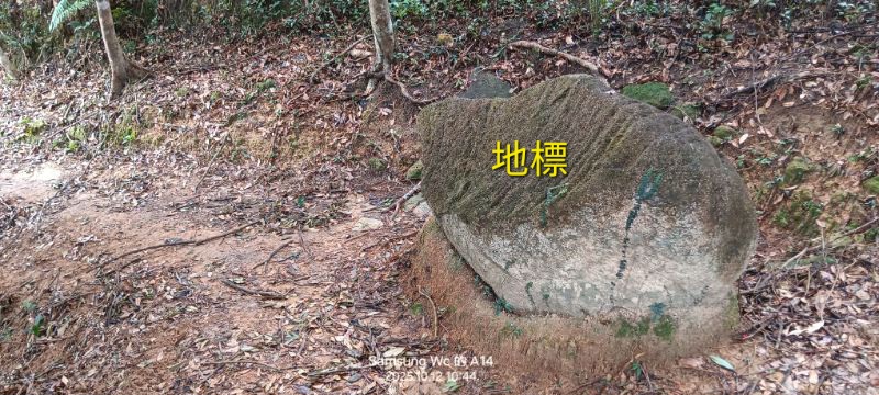 IMG_20251021_13299.jpg