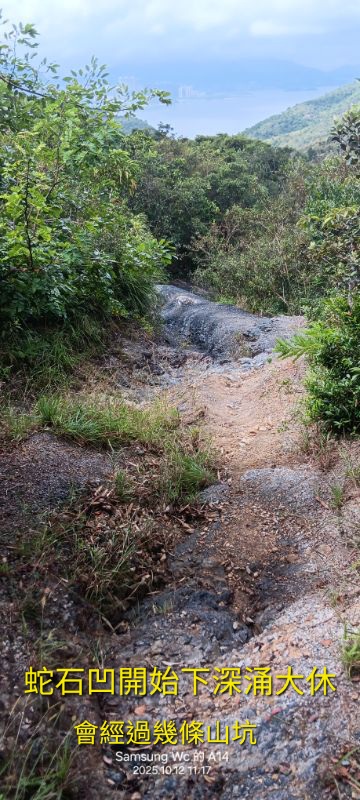 IMG_20251021_11832.jpg