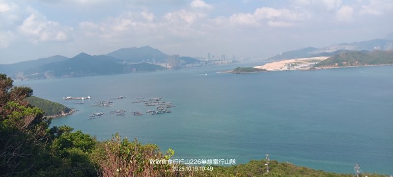 IMG_20251025_41461.jpg