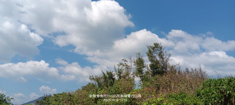 IMG_20251025_39759.jpg
