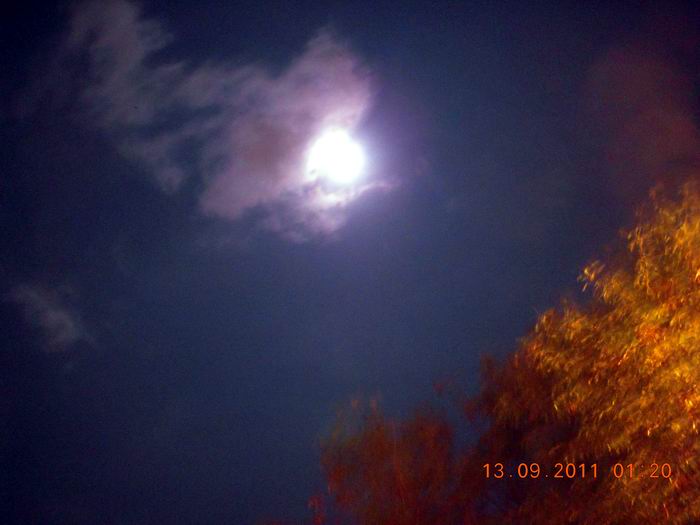 DSCN0263.JPG