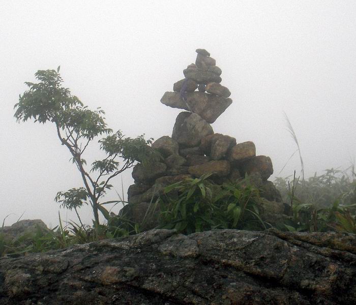 DSCN0398.jpg