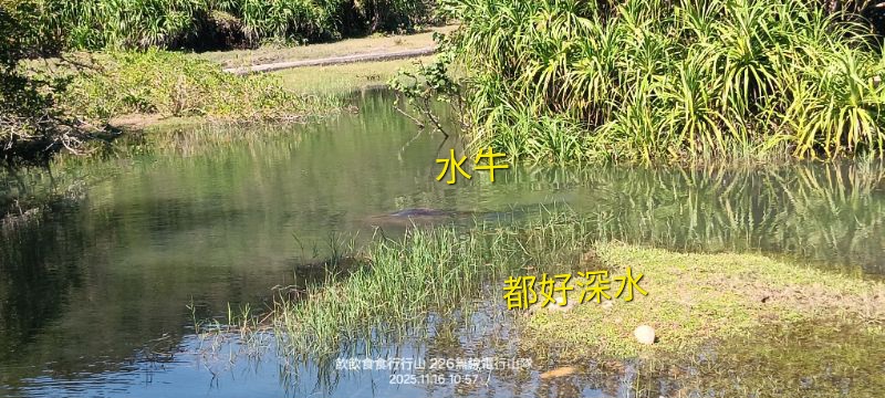 IMG_20251118_53938.jpg